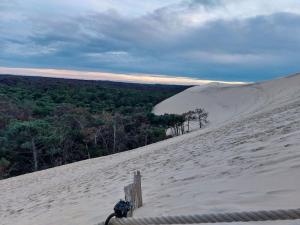 Villas Villa Cocooning Bassin d-Arcachon : photos des chambres