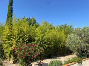 Villas Le Mas de l'Alliance - 12 p - Air Cond - private Pool - near Grignan : photos des chambres