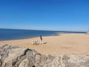 Villas Villa Cocooning Bassin d-Arcachon : photos des chambres