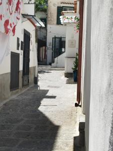 Ziro Suite Luxury House