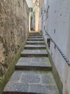 Ziro Suite Luxury House