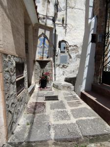 Ziro Suite Luxury House