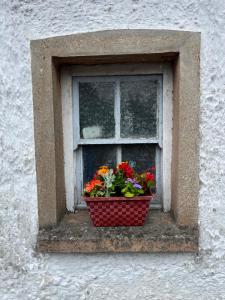 The Green Door Cottage