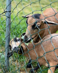 Horský Hotel Dobrá Chata