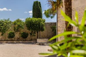 Maisons de vacances Mas provencal avec piscine chauffee ! : photos des chambres