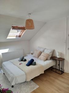 Appartements Le studio SQ4 : photos des chambres