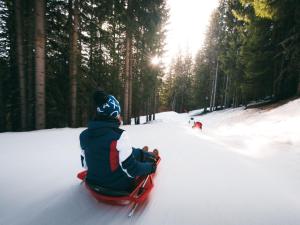 Confortable 2 pièces skis aux pieds près des commerces - FR-1-182A-6