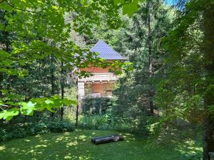 Forest House- dom nad górskim potokiem