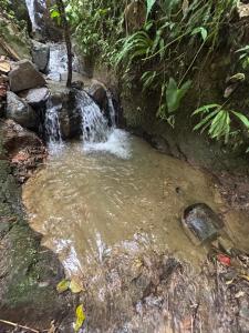 Cabaña Selvática y Manantiales, San Miguel Guarne