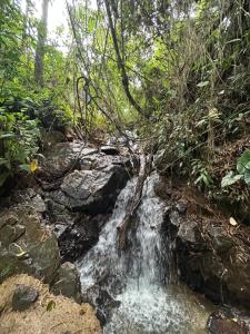 Cabaña Selvática y Manantiales, San Miguel Guarne