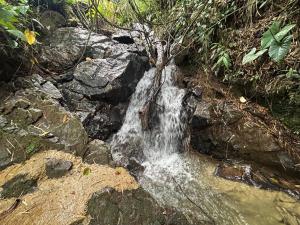 Cabaña Selvática y Manantiales, San Miguel Guarne