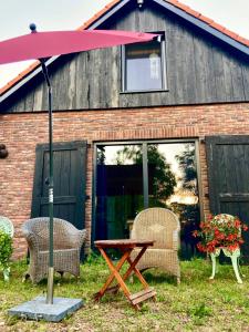 Ruim vakantie huis Marke Lemselo in de natuur