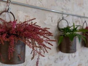 Suite parentale proche d Uzès avec petit déjeuner