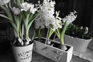 Suite parentale proche d Uzès avec petit déjeuner