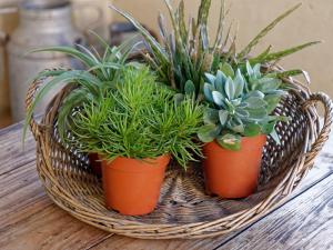 Suite parentale proche d Uzès avec petit déjeuner