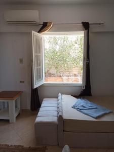 1CH1 studio 2beds ground floor sea view 114 green beach