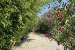 Villas Le Mas de l'Alliance - 12 p - Air Cond - private Pool - near Grignan : photos des chambres