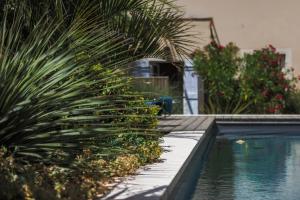 B&B / Chambres d'hotes Clos Ceres : photos des chambres