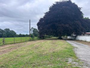 Kilkenny Organic Farm 2-Bed Apt Sleeps 4 Parking