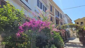 Amasing view from the White terrase