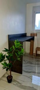 best equiped apartement