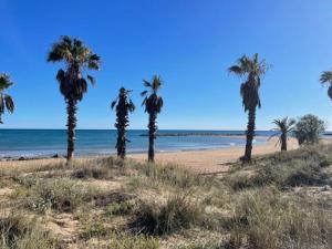 Maisons de vacances Le Baou : photos des chambres