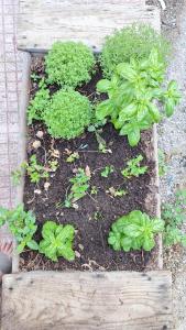 Casa vacanze Nonna Sara