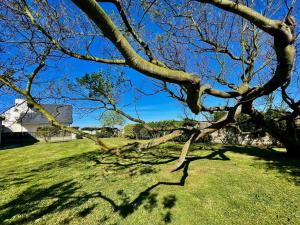 Maisons de vacances Maison de famille Henvic : photos des chambres