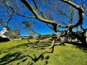 Maisons de vacances Maison de famille Henvic : photos des chambres