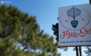 Camping Les Pins de Sel