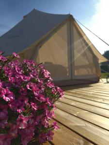 Kiideva Glamping