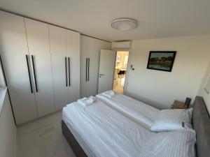 Apartmen ARMINAN 52 TERRACE, POOL FREE PARKING -NOVIGRAD