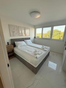 Apartmen ARMINAN 52 TERRACE, POOL FREE PARKING -NOVIGRAD