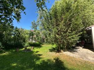 Domek obok Soplicowa - Cichowo