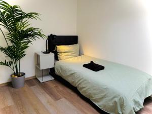 RV Apartment DG, Zentrum