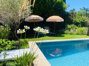 Maisons de vacances Le Saint Marin : photos des chambres