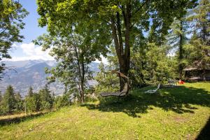 Appartamenti Petite Cerise