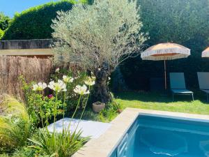 Maisons de vacances Le Saint Marin : photos des chambres
