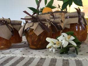 Monti di Jogliu img39