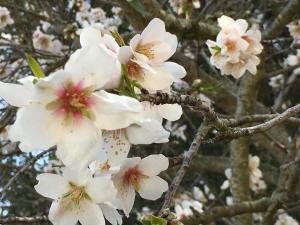 Monti di Jogliu img43