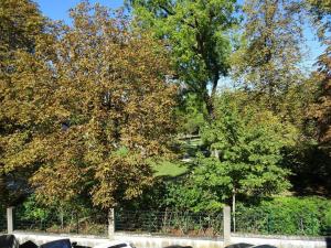 Appartements Face Au Jardin : photos des chambres
