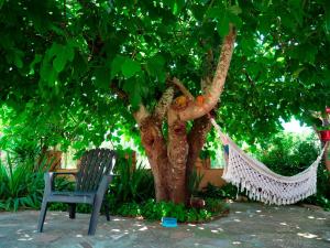 Imperio de Memorias - Casa de Campo