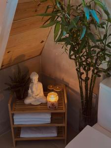 White Forest Durmitor 2