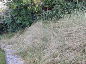 Art de lÔ chambre dhôtes