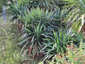 Art de lÔ chambre dhôtes