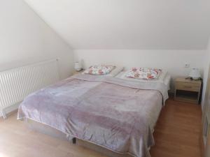 Chata Holica PIENINY