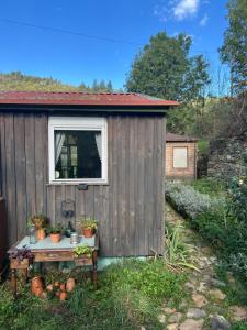 Appartements Chalet sur terrain arbore : photos des chambres