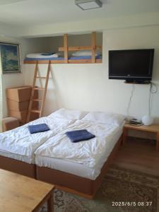 Apartmán Tatranské Zruby #3