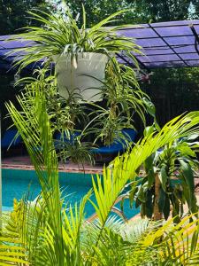 Platinum Haven Hostel & Gardens