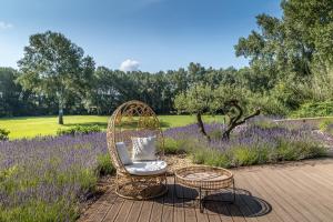 Appartements Gite Terrasse : photos des chambres